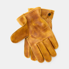 Molg gloves